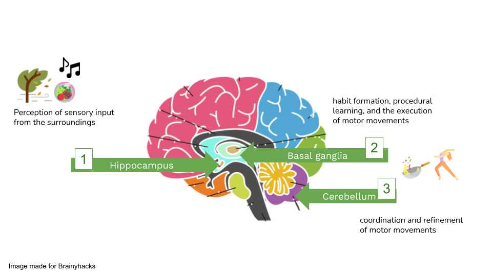 examples of implicit memory